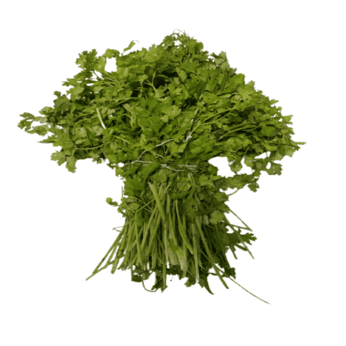 Coriander Leaves (Kothmir) - 500 gm