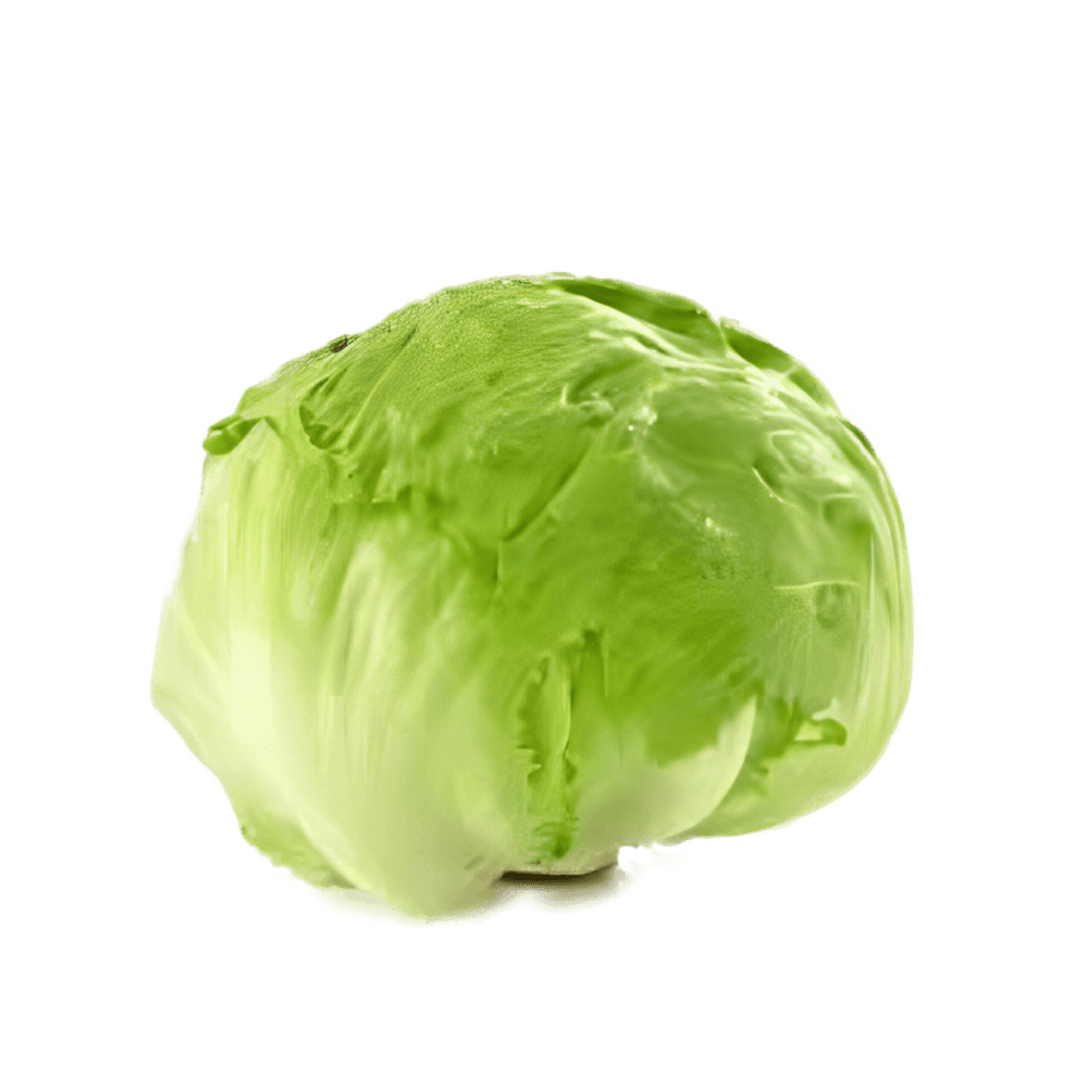 Lettuce Iceberg - 500 gm