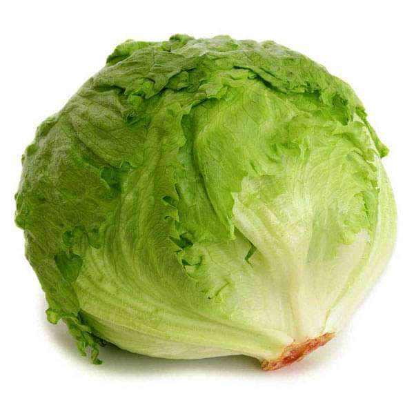 Lettuce Iceberg (Bulk) - 1 KG