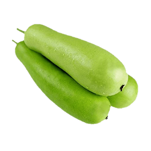 Baby Bottle Gourd - 1 Pc