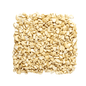 Economy - Cashew SWP (8 Pieces) - 1 KG