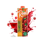 Real - Fruit Power Cranberry Juice - 1 L