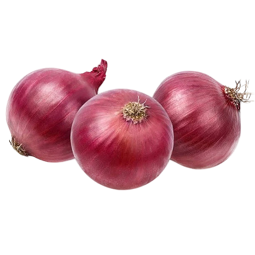 Onion - 10 KG - Bulk