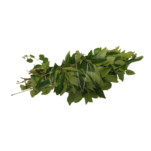 Curry Leaves (Kairi Patta) - 100 gm