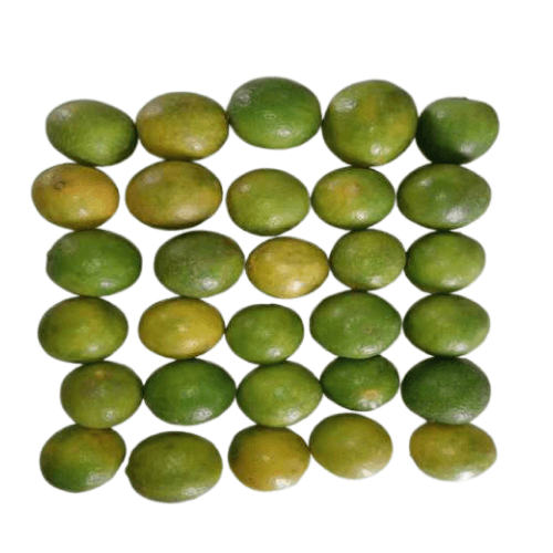 Lemon - 1 KG