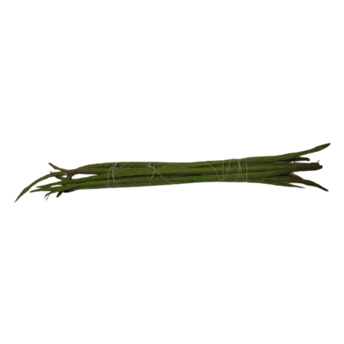 Drumstick (Shevga) - 500 GM