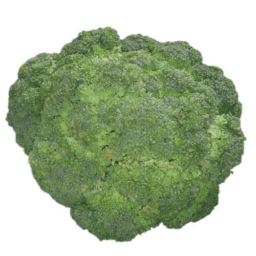 Broccoli (Big Size) - 1 Kg