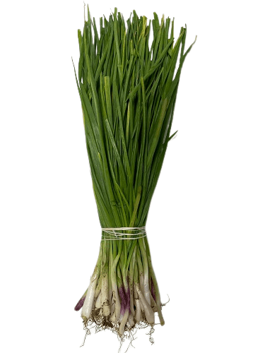 Spring Onion - 250 gm